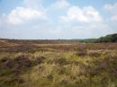 De Veluwe