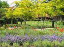 Hotel Frerikshof - Omgeving