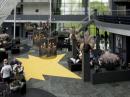 Receptie