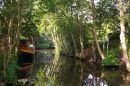Omgeving