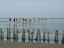 Wadlopen