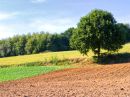 Zuid-Limburg