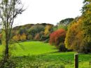 Omgeving