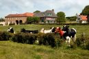 Omgeving