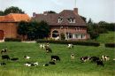 Achtertuin