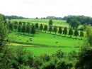 Omgeving