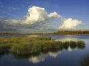 Nationaal Park De Groote Peel