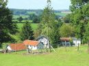landschap