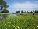 Omgeving, Markdal