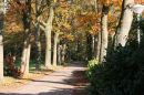 Omgeving