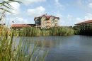 Greenside Texel