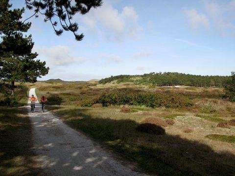 Omgeving