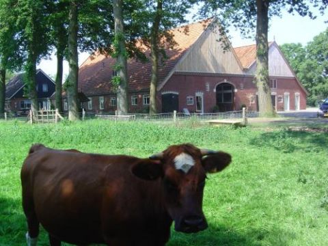 Bed-en-Breakfast-in-Nederland.nl | De Saksische familieboerderij Erfgoed Bossem ligt in het karakteristieke landschap van Twente. Ervaar de Twentse gastvrijheid op ongeveer 5 kilometer van het historische stadje Ootmarsum. | Breklenkamp | Bed & Breakfast | Overijssel