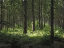 Omgeving