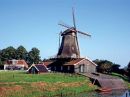 In de omgeving