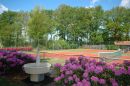 Tennis banen