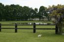 Weiland de Wiemsel