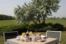 Ontbijt op terras