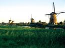 In de omgeving