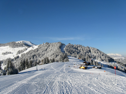 Hotel Alpina Regina