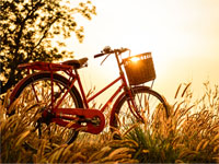 Fiets Specials