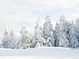 Kerstvakantie Winterberg