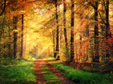 Hotels Herfstvakantie