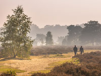 Beste hotel op de Veluwe