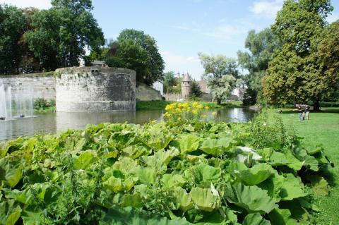 Ontdek Valkenburg - Romantiek, historisch en cultureel