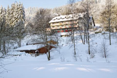 Hotel Waldhaus am See