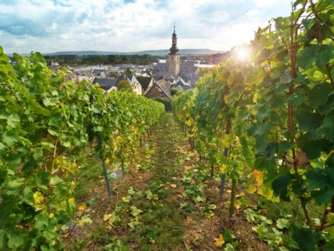 Hotel Concorde Bad Soden Hotel Concorde Bad Soden