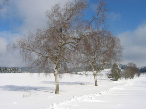 Hotel Lahnblick