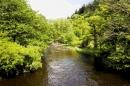 Omgeving