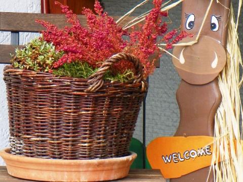 Hotel Reiter- und Ferienhof Redder