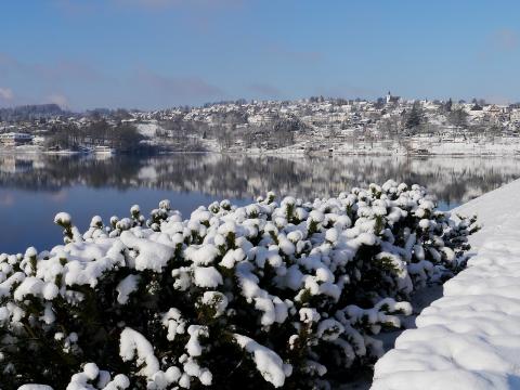 Hotel Seehof