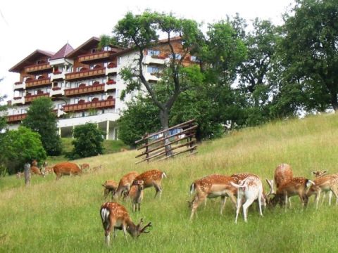 Hotel Kastenholz