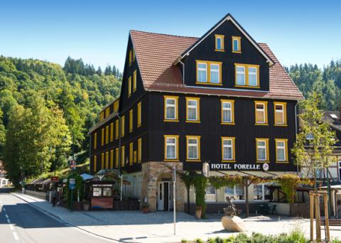 GreenLine Ferienhotel Forelle