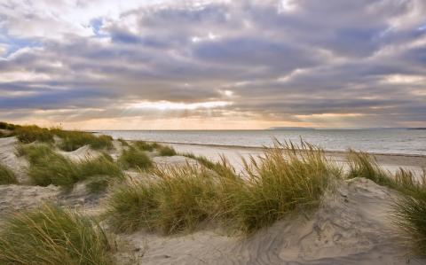 Weissenhäuser Strand