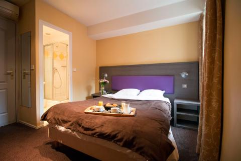 Hotel Adonis Annecy Icône Hôtel