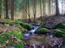 Omgeving