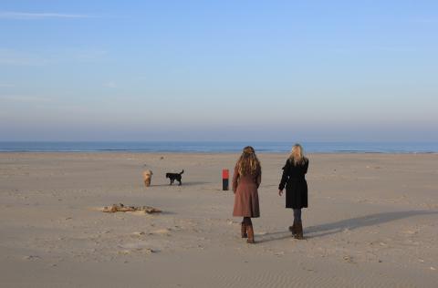 H2O Hostel Terschelling