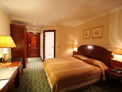 Hotel Alexander Hotel