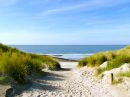 Omgeving