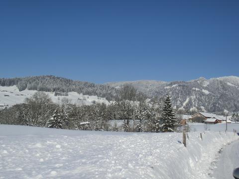 Hotel Gasthof Adler Hotel Gasthof Adler