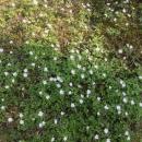 Omgeving