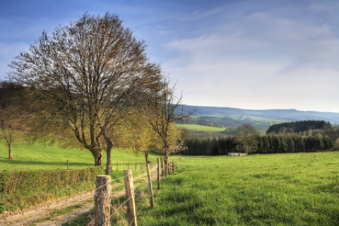 Ontdek de Ardennen - Trek je wandelschoenen aan