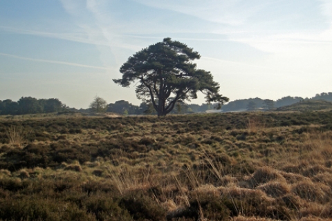 Ontdek de Antwerpse Kempen - Natuurrijk genieten