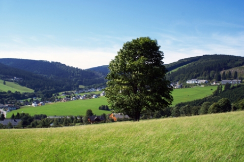 Ontdek Willingen - Proef de Duitse sfeer!
