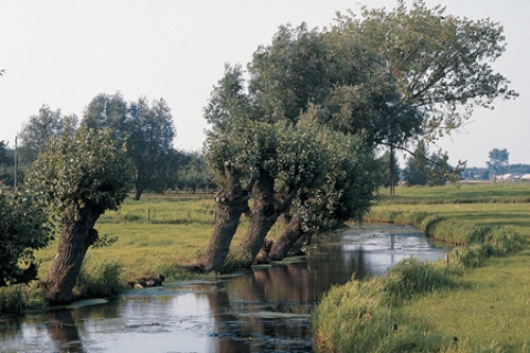 Ontdek Twente - Rust en ruimte
