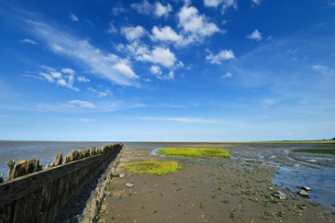 Wadden